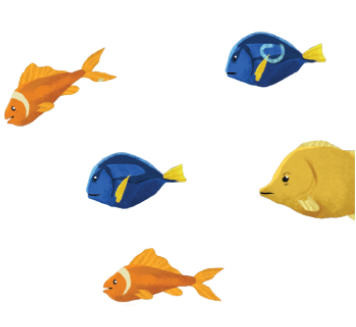 fish-img